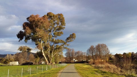 Adelong Falls Walk - Restaurant Gold Coast 0