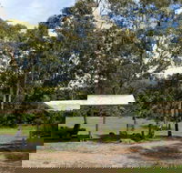 Back Creek picnic area - Restaurant Gold Coast
