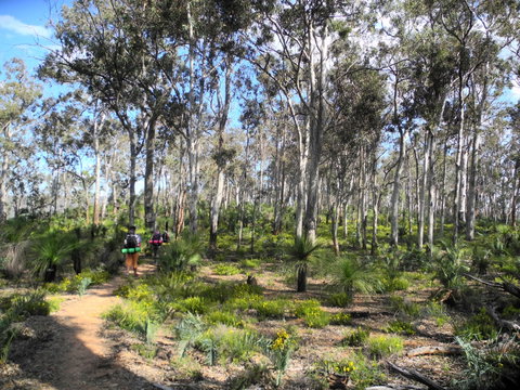 Bibbulmun Track - Restaurant Gold Coast 1