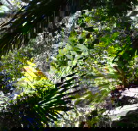 Byrrill Creek Walking Track - Restaurant Gold Coast