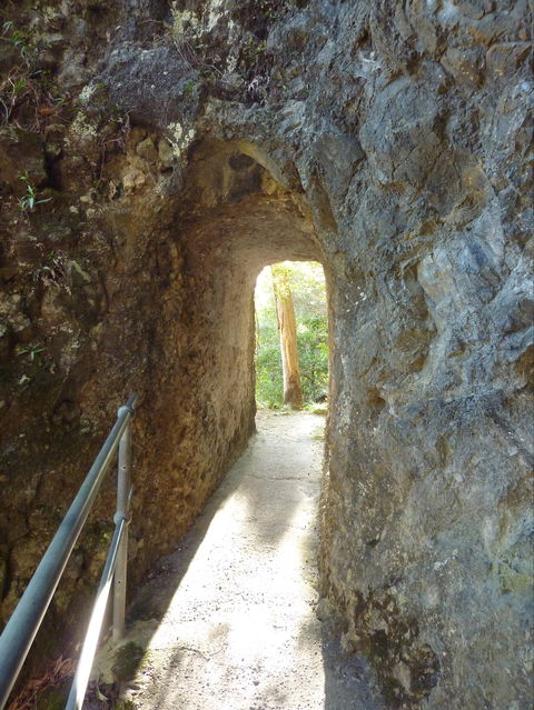 Caves Circuit, Lamington National Park - Restaurant Gold Coast 1