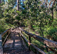 Dawson River Walking Track - Restaurant Gold Coast