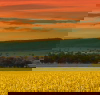 Galore Hill Scenic Reserve - Restaurant Gold Coast