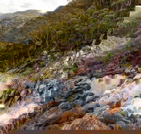 Gibraltar Range National Park - Restaurant Gold Coast