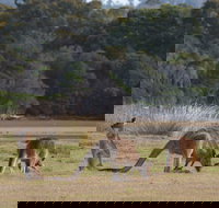 Great Nature Trail - Restaurant Gold Coast