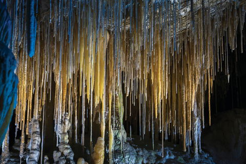 Hastings Caves And Thermal Springs - Restaurant Gold Coast 0