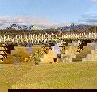 Historic Tabulam DeBurgh Timber Bridge - Restaurant Gold Coast