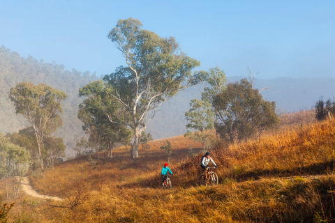 Kambah Pool To Pine Island Walking Trail - Restaurant Gold Coast 0