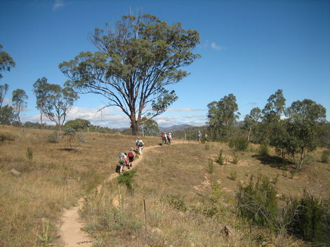 Kambah Pool To Pine Island Walking Trail - Restaurant Gold Coast 1