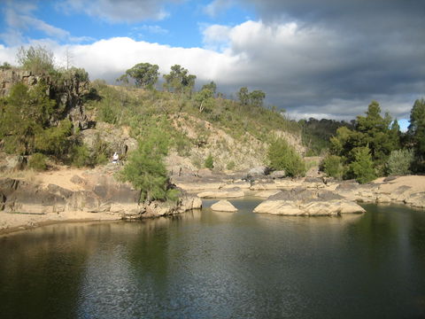 Kambah Pool To Pine Island Walking Trail - Restaurant Gold Coast 2