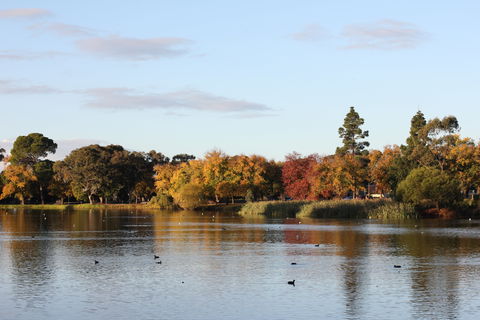 Lake Weeroona - Restaurant Gold Coast 0