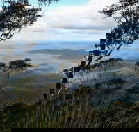 Mount Imlay National Park - Restaurant Gold Coast