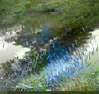 Mullion Range State Conservation Area - Restaurant Gold Coast