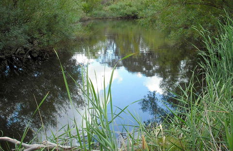 Mullion Range State Conservation Area - Restaurant Gold Coast 0