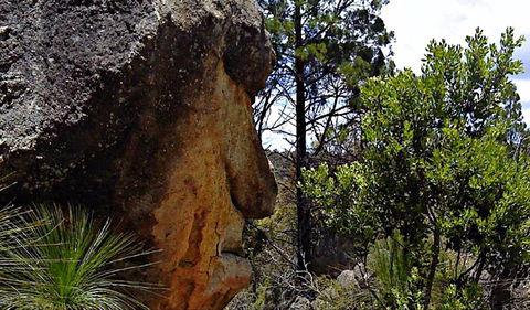 Mystery Face Walking Track - Restaurant Gold Coast 0