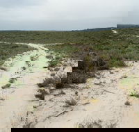 Ngarkat Conservation Park - Restaurant Gold Coast