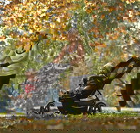 Noreuil Park - Restaurant Gold Coast