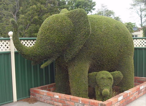 Railton: Town Of Topiary - Restaurant Gold Coast 0