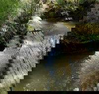 Second Ponds Creek Walk - Restaurant Gold Coast