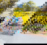 The Heron's Highway - Avon River Cycle Trail - Restaurant Gold Coast