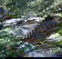 Towarri National Park - Restaurant Gold Coast