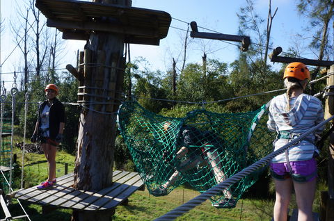 Trees Adventure - Lane Poole Park - Restaurant Gold Coast 0