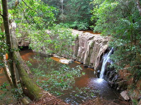 Waitui Falls - Restaurant Gold Coast 0