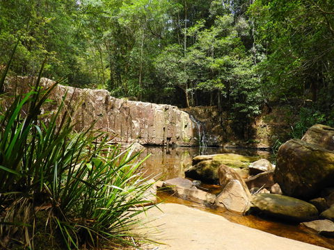 Waitui Falls - Restaurant Gold Coast 1