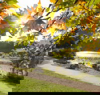 Wentworth Falls Lake - Restaurant Gold Coast