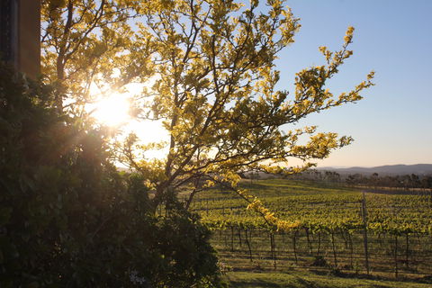 Wine Trail: Queanbeyan-Palerang - Restaurant Gold Coast 1