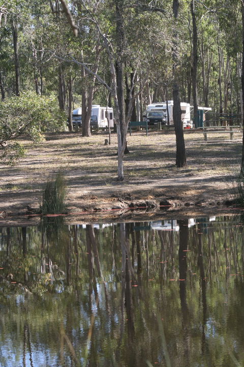 Wongi State Forest - Restaurant Gold Coast 1