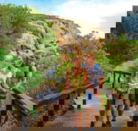 Woody Island Nature Reserve - Restaurant Gold Coast