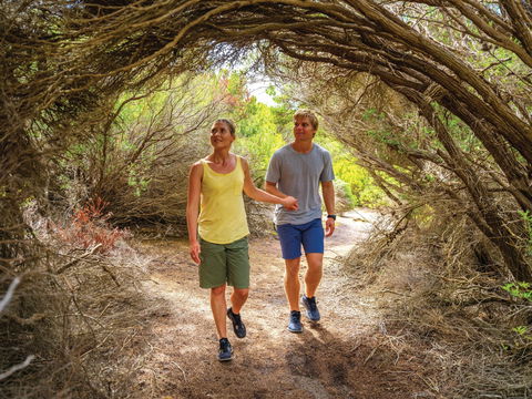 Woody Island Nature Reserve - Restaurant Gold Coast 1