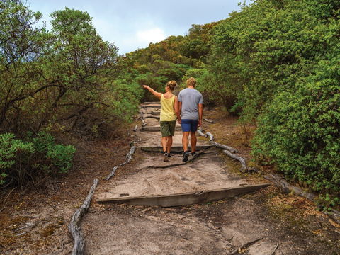 Woody Island Nature Reserve - Restaurant Gold Coast 2