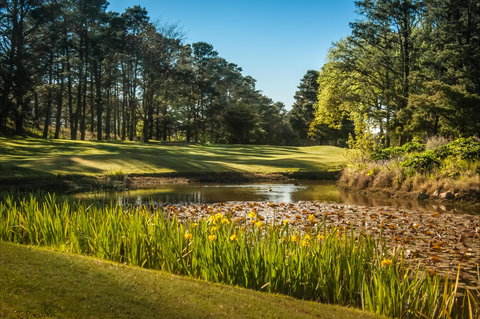 Yowani Country Club Incorporated - Restaurant Gold Coast 2