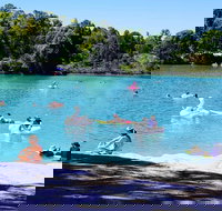 Black Diamond Lake - Restaurant Gold Coast