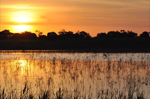 Bool Lagoon Game Reserve And Hacks Lagoon Conservation Park - Restaurant Gold Coast 0