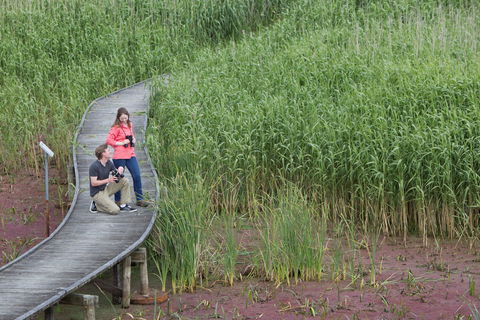 Bool Lagoon Game Reserve And Hacks Lagoon Conservation Park - Restaurant Gold Coast 2
