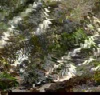 Buddong Falls Walking Track - Restaurant Gold Coast