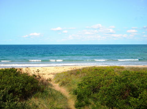 Culburra Surf Beach - Restaurant Gold Coast 1