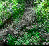 Djiru National Park - Restaurant Gold Coast