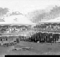 Don Dorrigo and Guy Fawkes Historical Society Museum - Restaurant Gold Coast