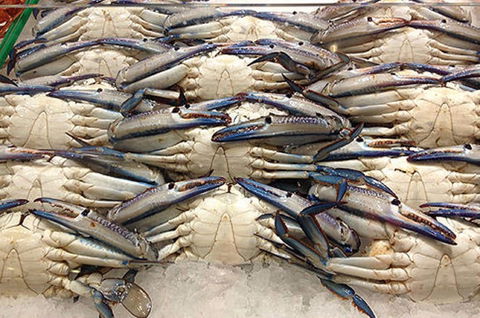 Fish And Fowl - Restaurant Gold Coast 1
