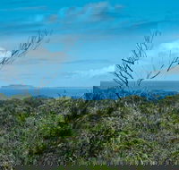 Forest Walking Track Crowdy Bay National Park - Restaurant Gold Coast