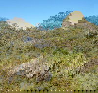 Goorgana Walking Track - Restaurant Gold Coast