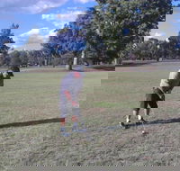 Inverell Golf Club - Restaurant Gold Coast