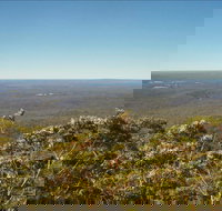 Jerrawangala National Park - Restaurant Gold Coast