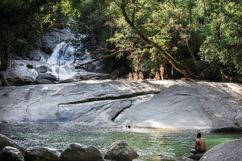 Josephine Falls Walking Track, Wooroonooran National Park - Restaurant Gold Coast 1