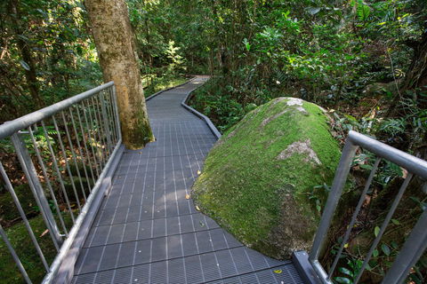 Josephine Falls Walking Track, Wooroonooran National Park - Restaurant Gold Coast 2