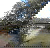 Junction Island Nature Reserve Canoe Tree and Walking Track - Restaurant Gold Coast